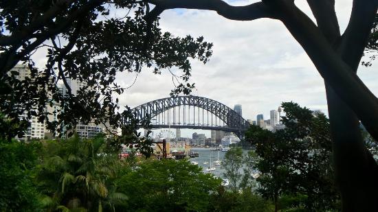 Wendy Whiteley's Secret Garden